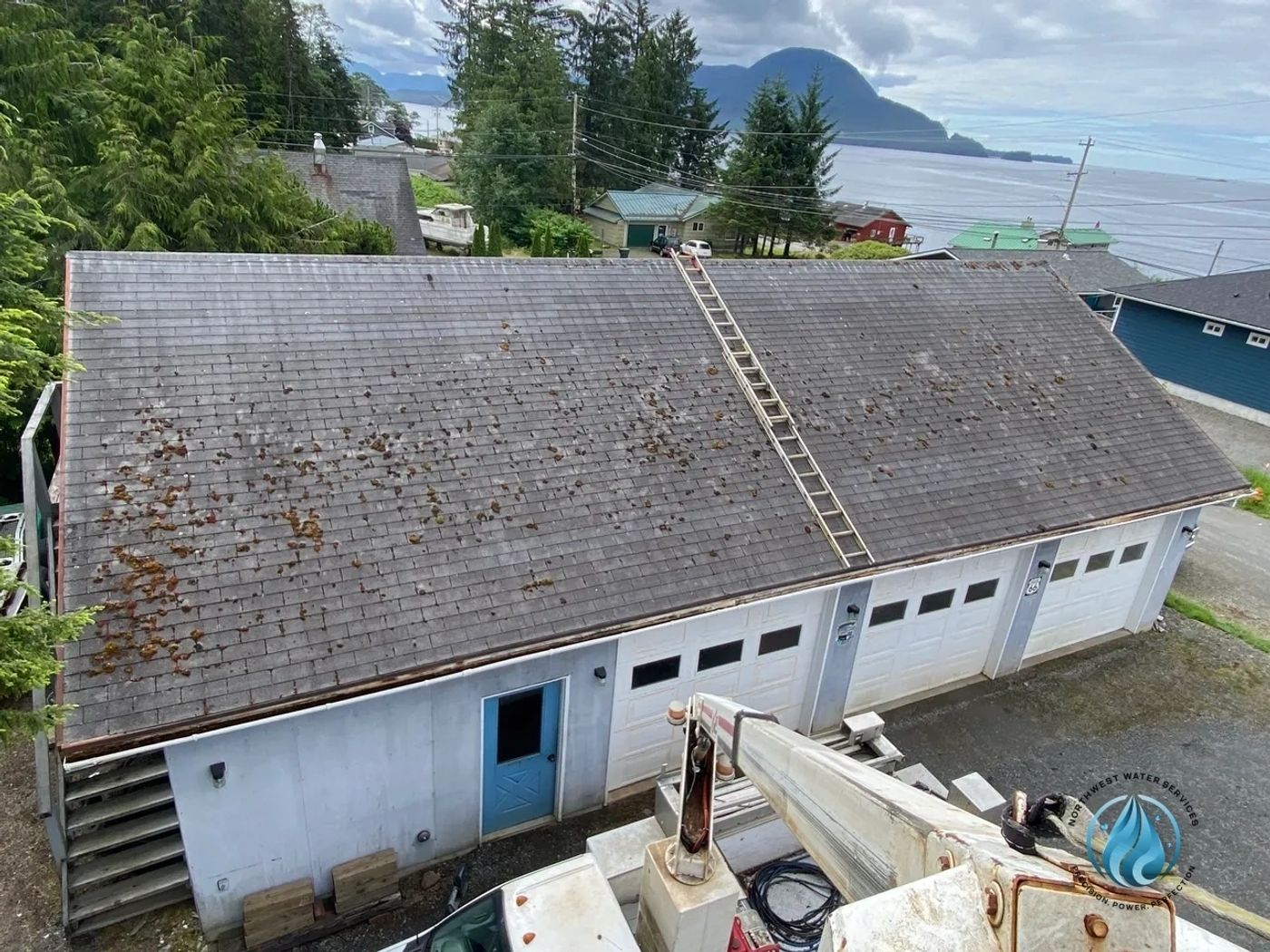 Moss-covered roof before treatment
